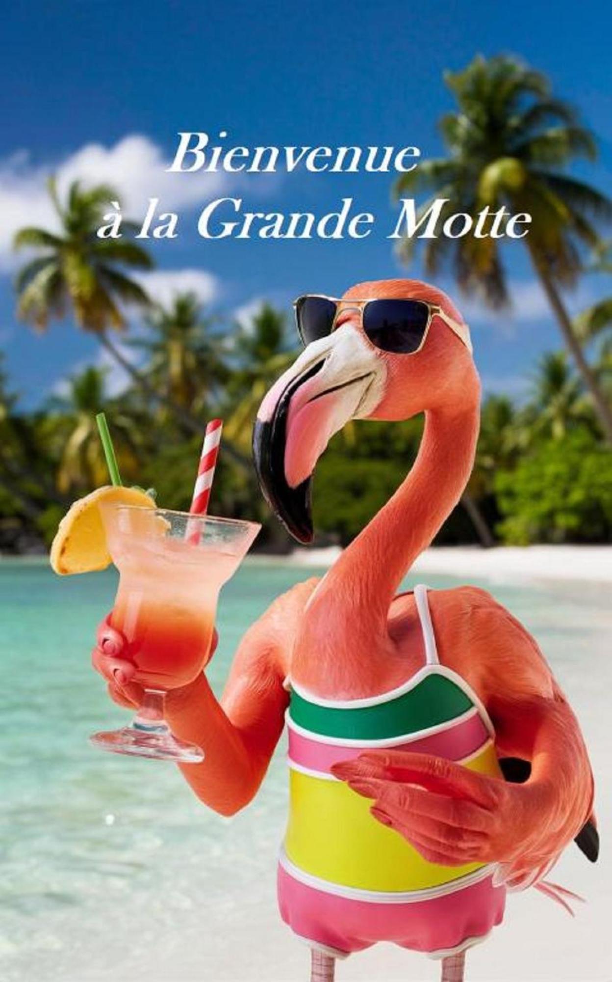 Mes vacances à la mer La Grande-Motte Exterior foto